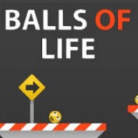 Balls Of Life